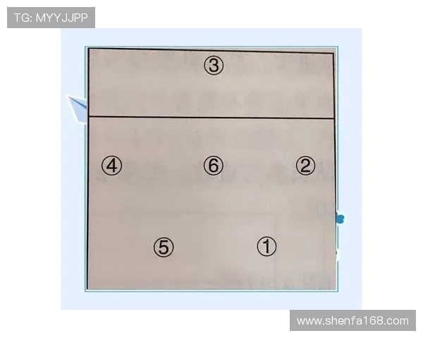 广州排球队的战术解析与控制能力深度剖析